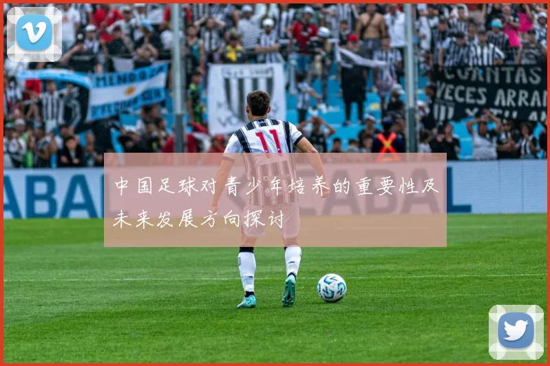 中国足球对青少年培养的重要性及未来发展方向探讨