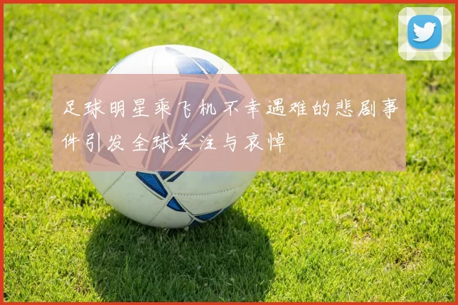 足球明星乘飞机不幸遇难的悲剧事件引发全球关注与哀悼